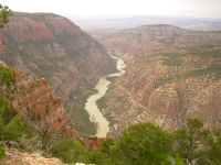 Looking Down on the River